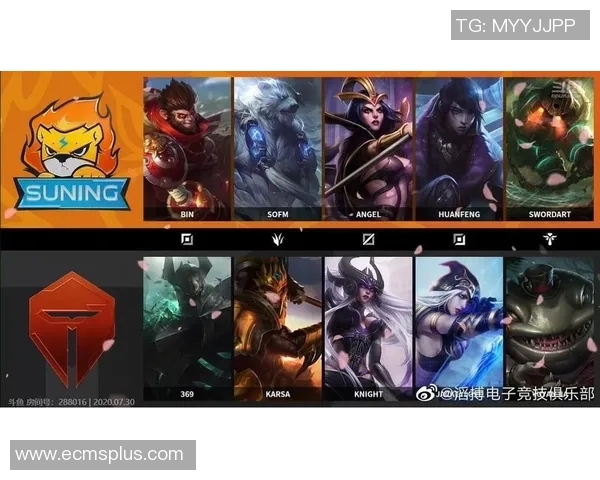 探寻TES战队的游戏意识与策略深度解析